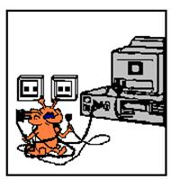 r3