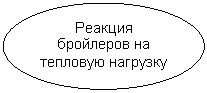 Овал: Реакция бройлеров на тепловую нагрузку