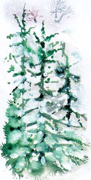 http://ped-kopilka.ru/images/1-6.jpg
