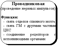 Скругленный прямоугольник: Проводниковая
(проведение нервных импульсов)
Функции:
- связь отделов спинного мозга
- связь ГМ с другими частями ЦНС
- соединение рецепторов с исполняющими органами