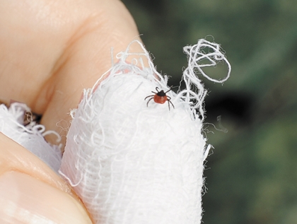 Описание: http://images.aif.ru/000/062/8eaea7a722f21c438bb398b25b4f5823.jpg