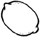C:\Users\Dantist\Desktop\�����.gif