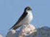 http://im4-tub-ru.yandex.net/i?id=76307179-58-72&n=15