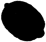 C:\Users\Dantist\Desktop\�����.gif