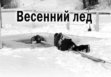 ��������: