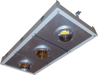 lamp1.jpg