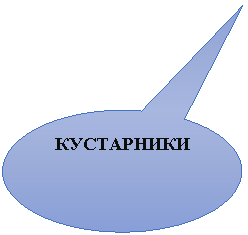 Овальная выноска: КУСТАРНИКИ