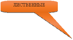 Скругленная прямоугольная выноска: ЛИСТВЕННЫЕ