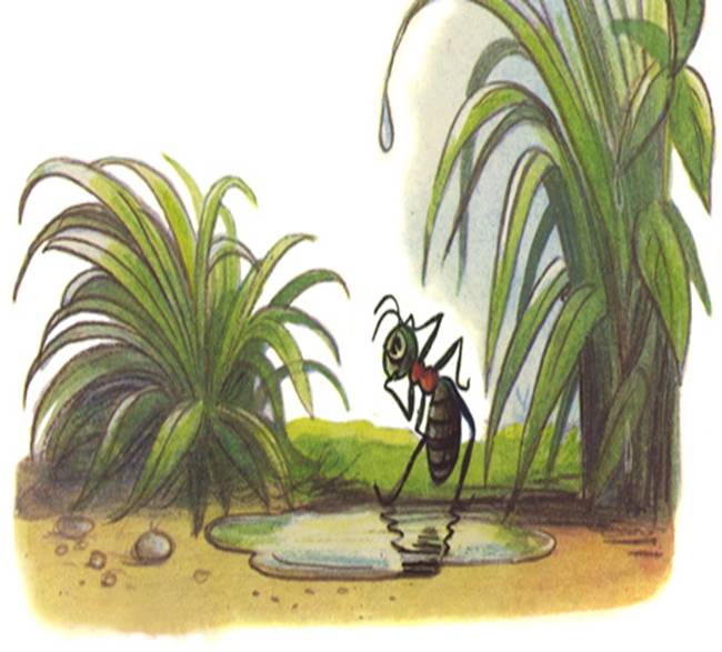 http://audioskazki.net/wp-content/gallery/suteev/pod_gribom/0034_2.jpg
