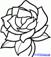 http://imgs.steps.dragoart.com/how-to-draw-a-gardenia-step-7_1_000000095029_5.gif