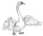 http://kak-legko.ru/wp-content/uploads/2012/09/8-%D0%BB%D0%B5%D0%B1%D0%B5%D0%B4%D1%8C-%D1%88%D0%B0%D0%B35.jpg