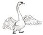 http://kak-legko.ru/wp-content/uploads/2012/09/8-%D0%BB%D0%B5%D0%B1%D0%B5%D0%B4%D1%8C-%D1%88%D0%B0%D0%B35.jpg
