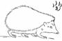 http://forum.knitting-info.ru/uploads/1168002852/post-5061-1168821864.gif