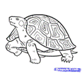 http://imgs.steps.dragoart.com/how-to-draw-turtles-step-15_1_000000103975_5.png