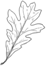 http://art-assorty.ru/uploads/posts/2012-01/1328003984_finished-oak-leaf.png