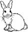 http://www.supercoloring.com/wp-content/thumbnail/2009_01/rabbit-18-coloring-page.gif
