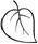 http://www.raskraska.com/catalog0001/222.gif