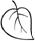 http://www.raskraska.com/catalog0001/222.gif