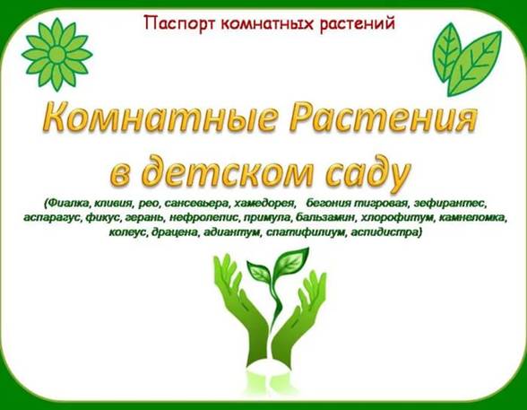 https://im1-tub-ru.yandex.net/i?id=6e3f2e4ac82c23ec7ae600a8147a00bf-l&n=13