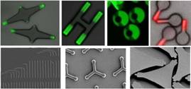 http://media.materialsviews.com/wp-content/uploads/2013/02/PRINT_technology_nanoparticles_making_capabilities_flexible.jpg