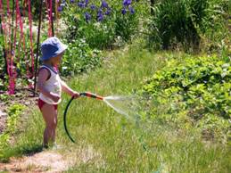 http://health.omskinform.ru/images/2_dacha.jpg