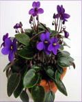 http://doshvozrast.ru/images/roditeli08/image003.jpg