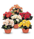http://doshvozrast.ru/images/roditeli08/image004.jpg