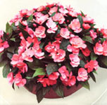 http://doshvozrast.ru/images/roditeli08/image008.jpg