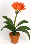 http://doshvozrast.ru/images/roditeli08/image009.jpg