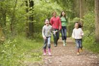 http://www.matrony.ru/wp-content/uploads/shutterstock_15724291_kleschi.jpg