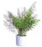 http://doshvozrast.ru/images/roditeli08/image013.jpg