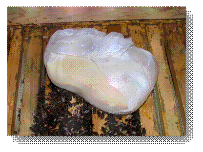 DSCF0671_1