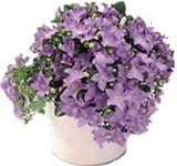 http://doshvozrast.ru/images/roditeli08/image019.jpg