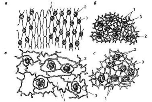 http://sbio.info/images/tmp55-8.jpg