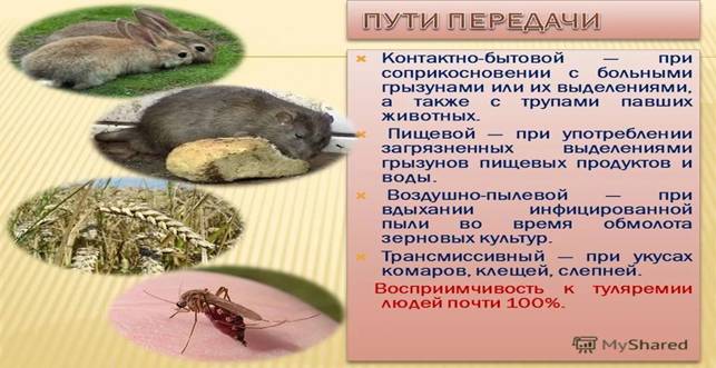https://im0-tub-ru.yandex.net/i?id=4383478020929b66927456b047002c08-l&n=13