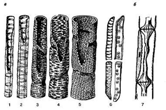 http://sbio.info/images/tmp55-10.jpg