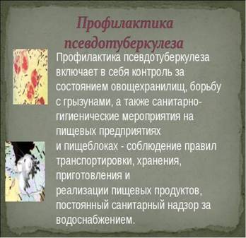 https://im0-tub-ru.yandex.net/i?id=b5a42a3eeb151a950d5a8dabda9b8a45-l&n=13