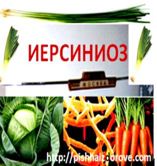 https://pishhaizdorove.com/wp-content/uploads/2011/07/yersiniosis.png