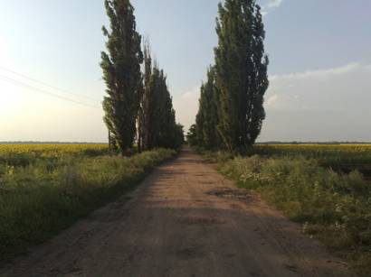 http://static.panoramio.com/photos/large/38409914.jpg