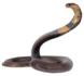 http://coloreddiamond.info/images/cobra.jpg