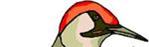 http://www.jouscout.com/jungle_archivos/image075.jpg