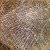 http://www.aif.ru/pictures/2/poj-6.jpg