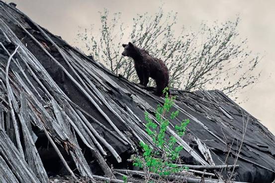 http://www.vokrugsveta.ru/img/cmn/2011/03/22/006.jpg