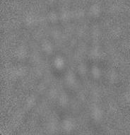 C:\Users\123\Desktop\1_Lelyuk\S46_CeO2_4\S46_CeO2_4_Kikuchi.bmp