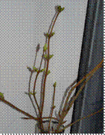 D:\Users\Kostya\Desktop\DSCN8591.JPG