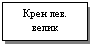 �������: