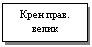 �������: