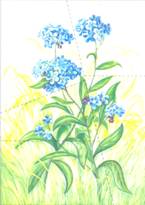 Scan0015"