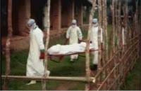 http://zav.minsk.gov.by/images/stories/useful/ebola/3.png
