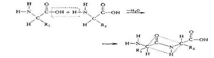 http://www.teharenda.com/biochem/text.files/image056.jpg